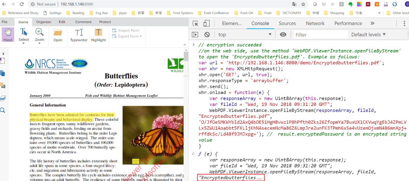 butterflies encrypt console highlight home hand