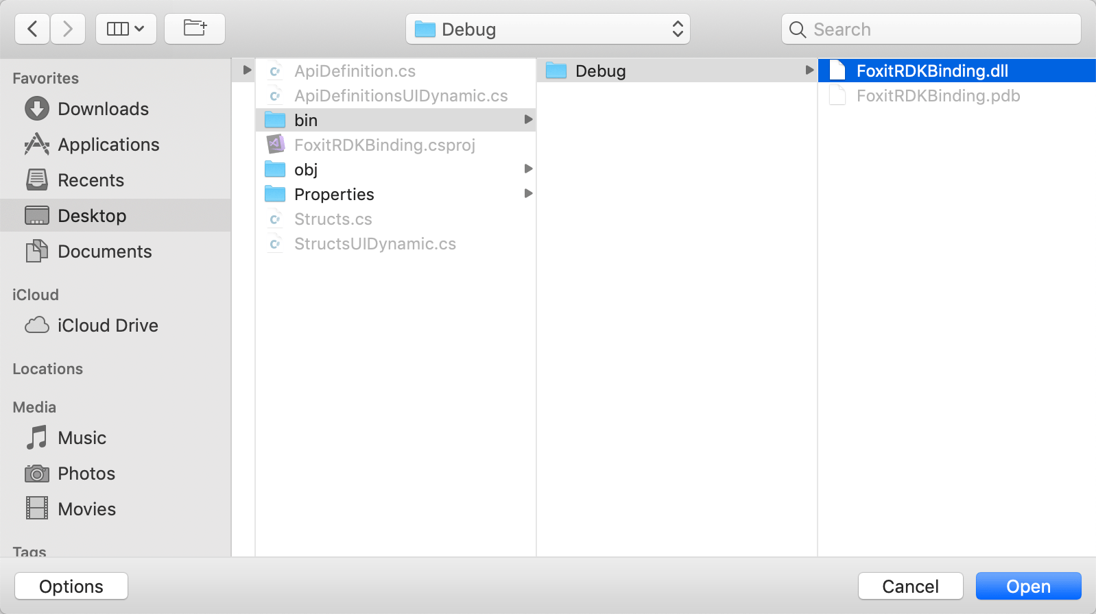 debug foxit rdk binding bin objective files folders desktop