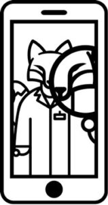 The Fox