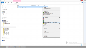 step13a dqpl android setup 300x170
