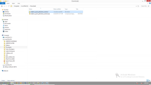step13b dqpl android setup 300x170