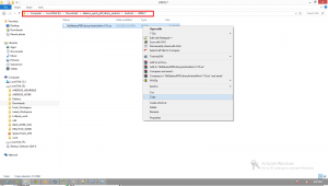 step14 dqpl android setup 300x170